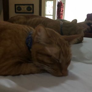 Meet your Posher, Emma